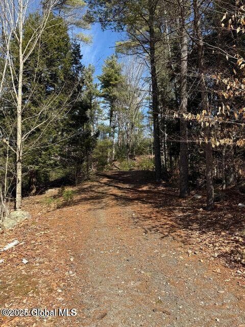 61 Snowshoe Ridge, photo 2