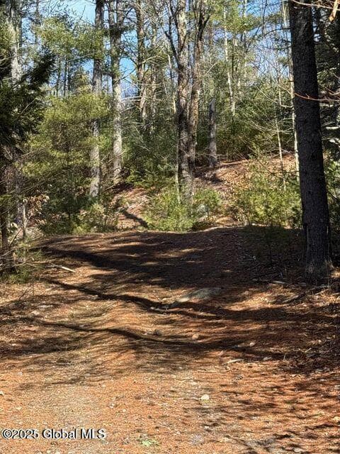 61 Snowshoe Ridge, photo 3