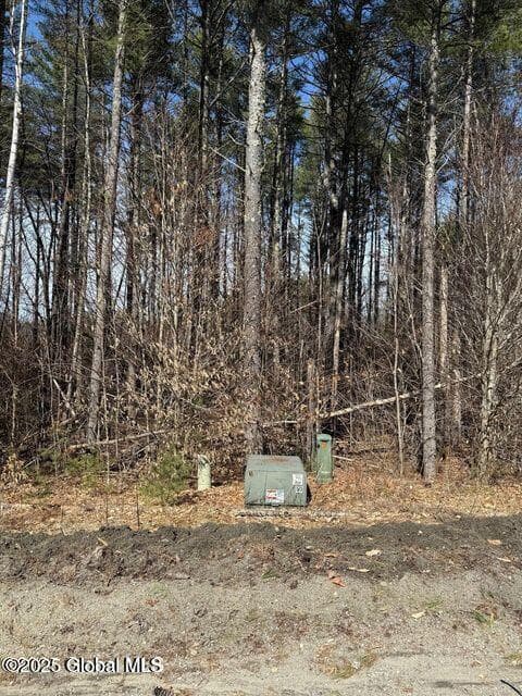 61 Snowshoe Ridge, photo 4