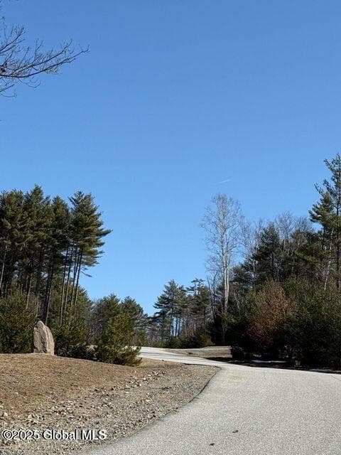 61 Snowshoe Ridge, photo 5