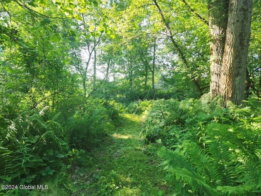 L9.1-4 Nealy Lane, photo 4