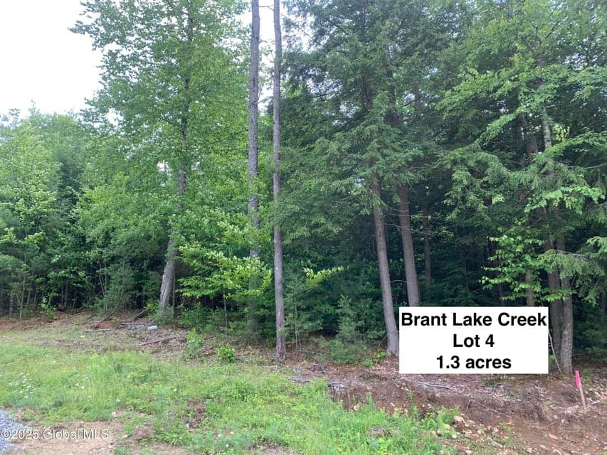 14 Brant Lake Creek Road, photo 5