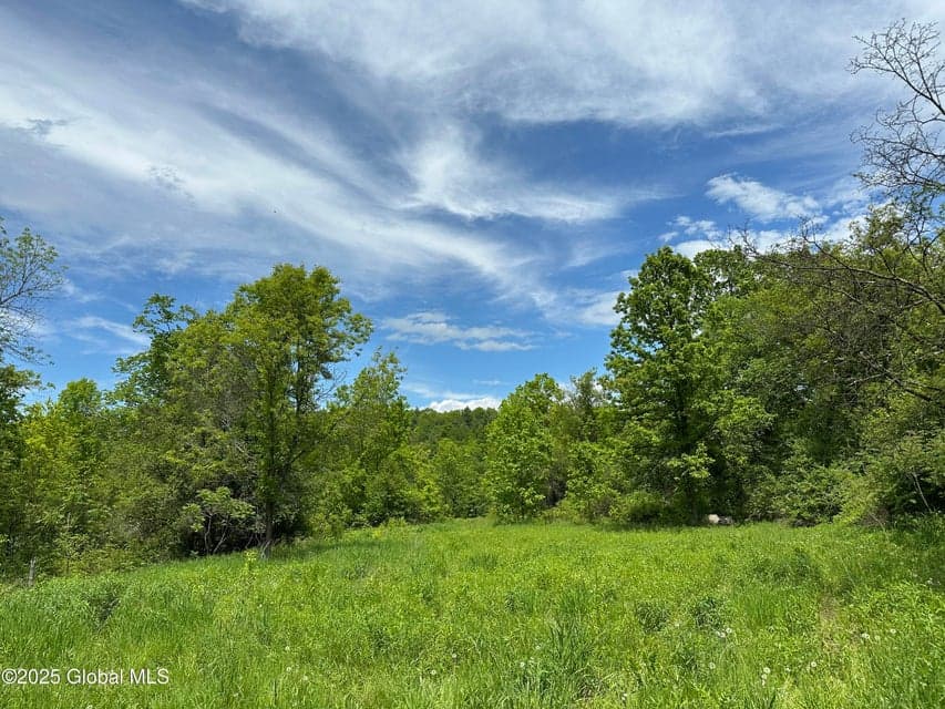 2368 County Route 12, Whitehall, NY 12887, photo 3