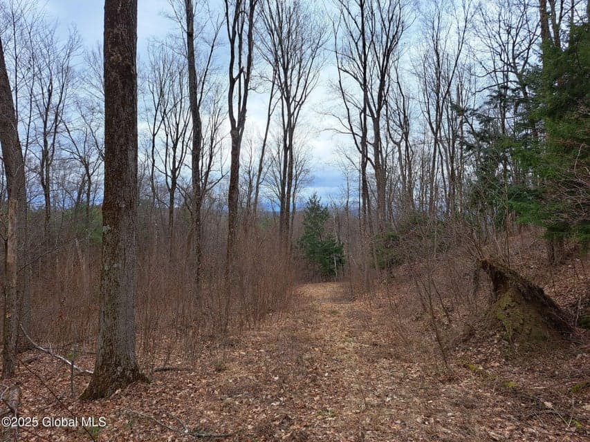 851 Bald Mountain Road, photo 3