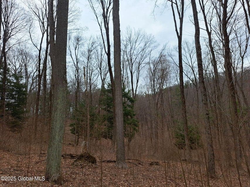 851 Bald Mountain Road, photo 4