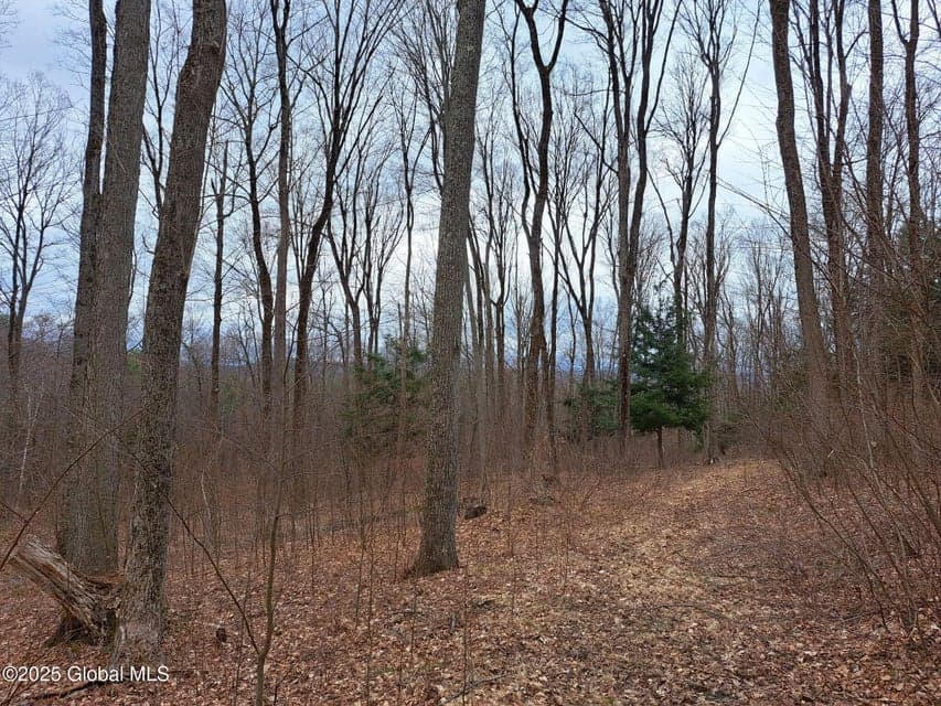 851 Bald Mountain Road, photo 5