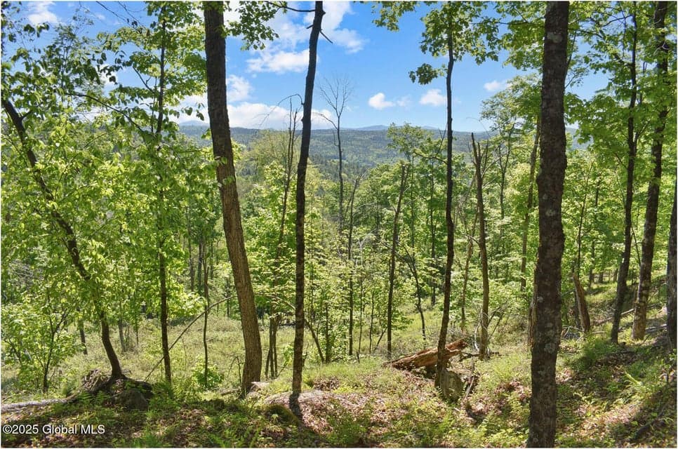 364 Pease Hill Road, Horicon, NY, photo 5