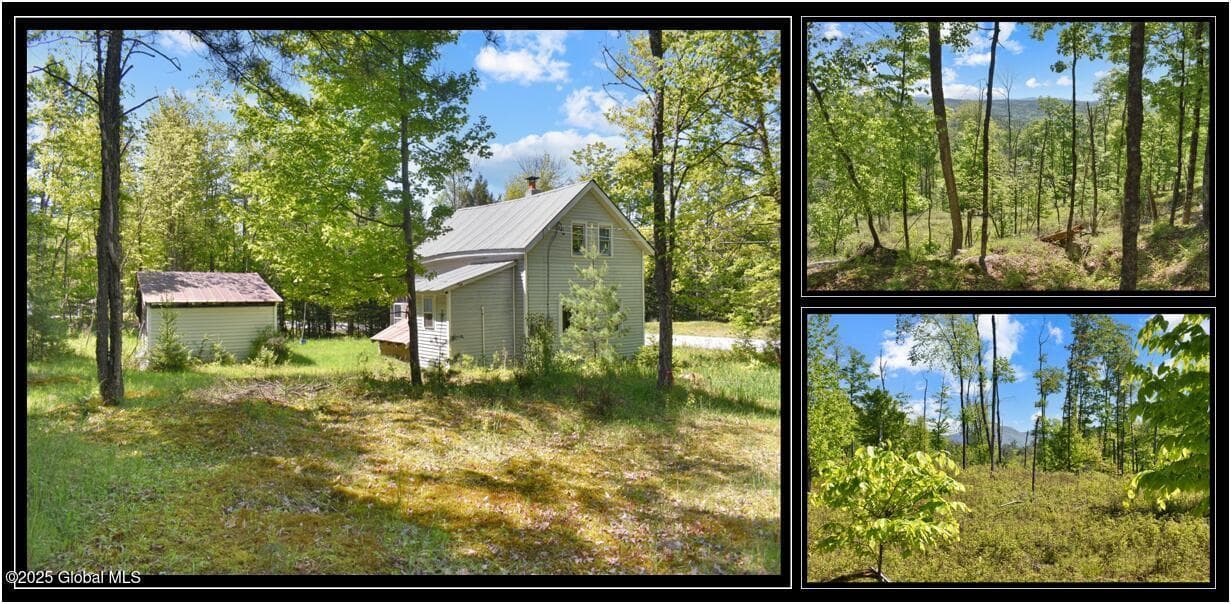 364 Pease Hill Road, Horicon, NY, photo 1