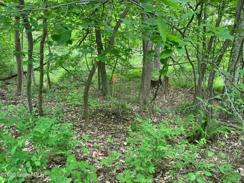 L3 Pine Springs Drive, Ticonderoga, NY, photo 4