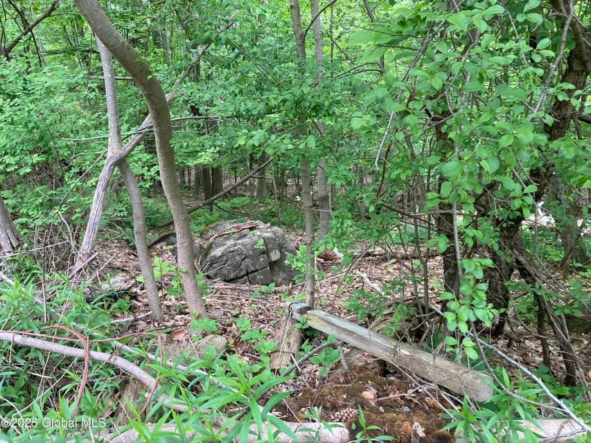 L3 Pine Springs Drive, Ticonderoga, NY, photo 5