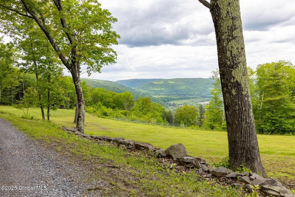 272 Meadowland Drive, Middleburgh, NY, photo 3