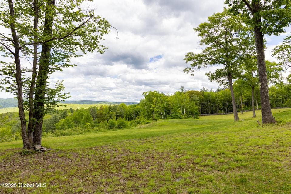 272 Meadowland Drive, Middleburgh, NY, photo 5