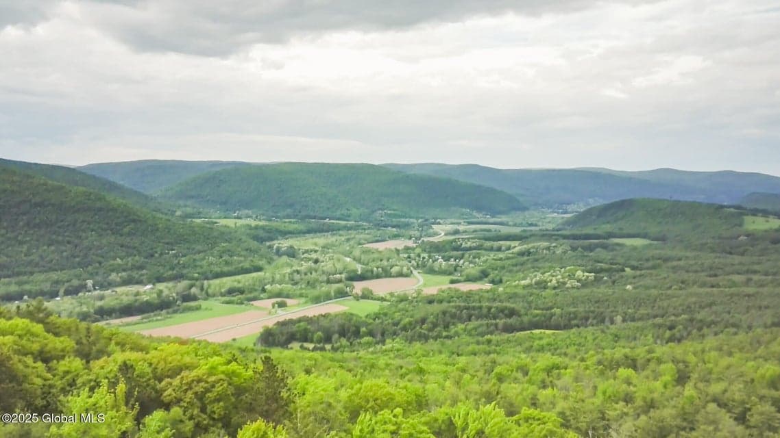 272 Meadowland Drive, Middleburgh, NY, photo 4