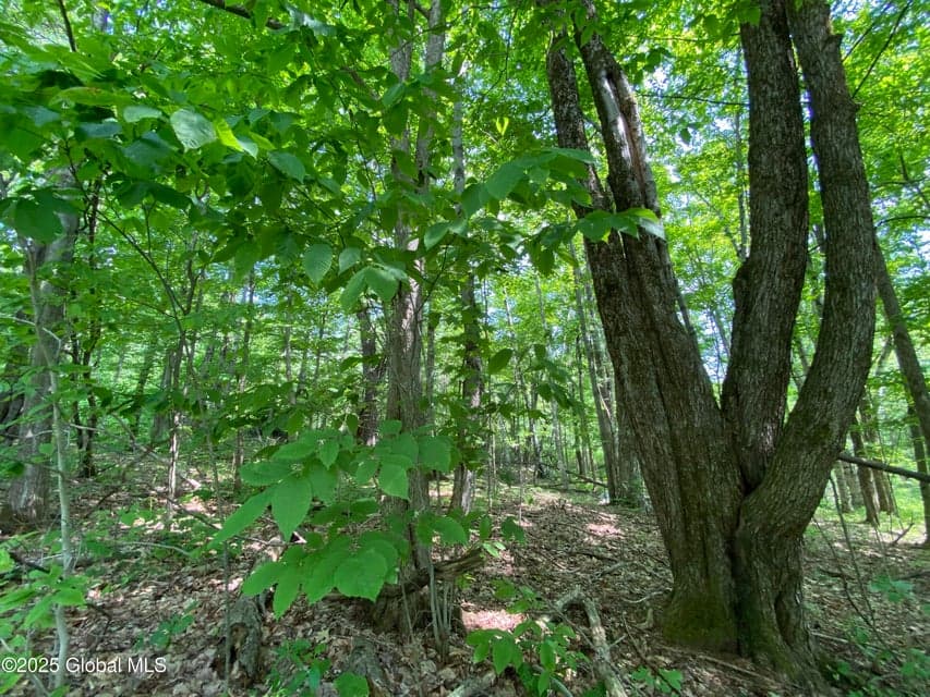 L20.44 Robinson Hollow Way, Stephentown, NY, photo 4