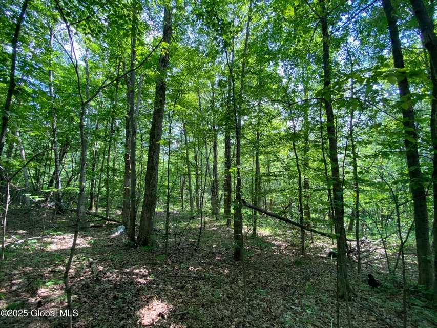 L20.44 Robinson Hollow Way, Stephentown, NY, photo 5