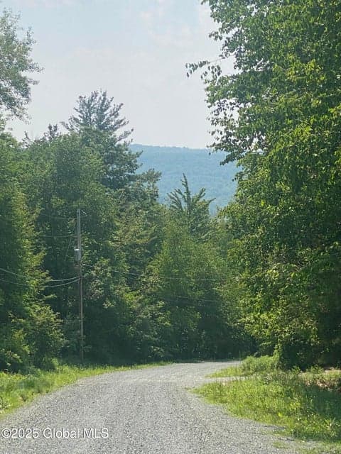 L20.44 Robinson Hollow Way, Stephentown, NY, photo 1