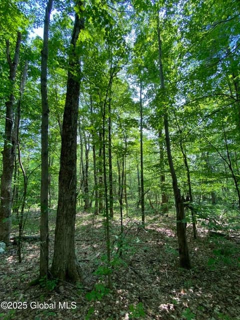L20.44 Robinson Hollow Way, Stephentown, NY, photo 3