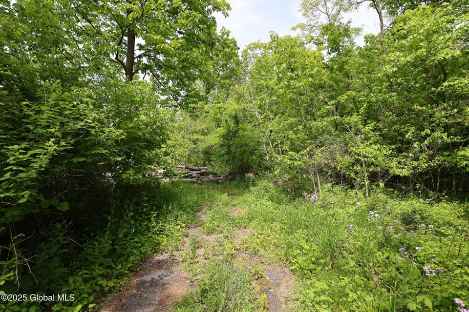 143 Rarick Road, Bethlehem, NY, photo 4