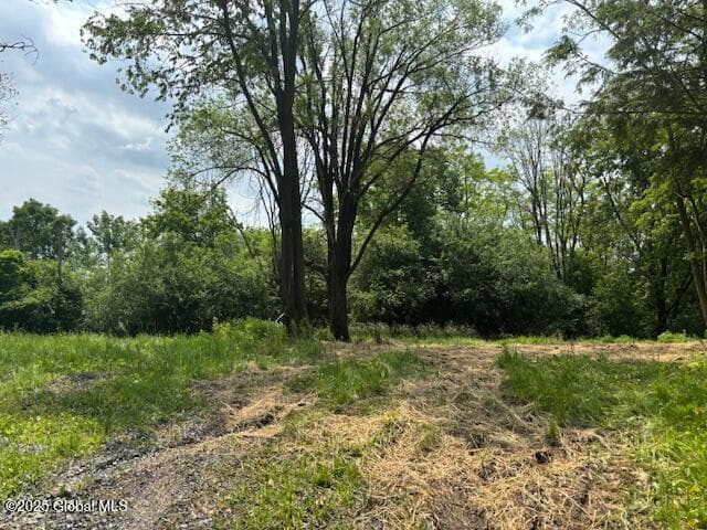 1741 Scotch Ridge Road