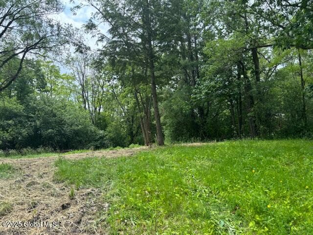 1741 Scotch Ridge Road, photo 2
