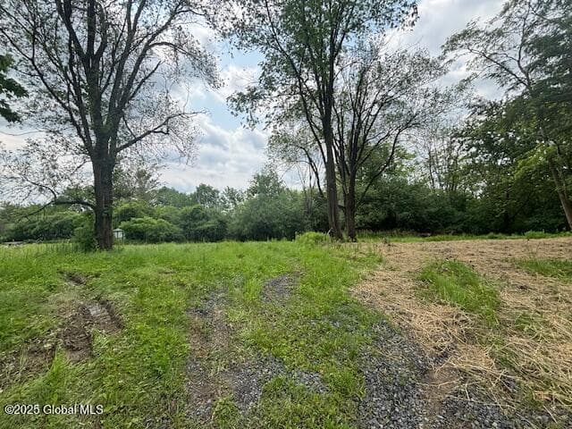 1741 Scotch Ridge Road, photo 3
