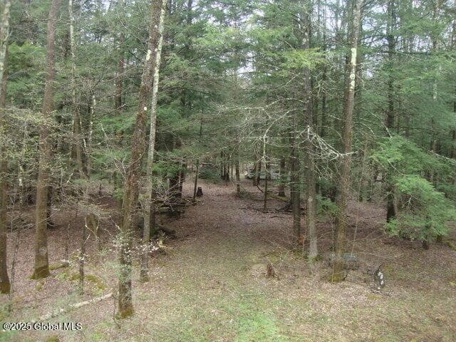 152 Fred Ottaway Road, Middlefield, NY, photo 5