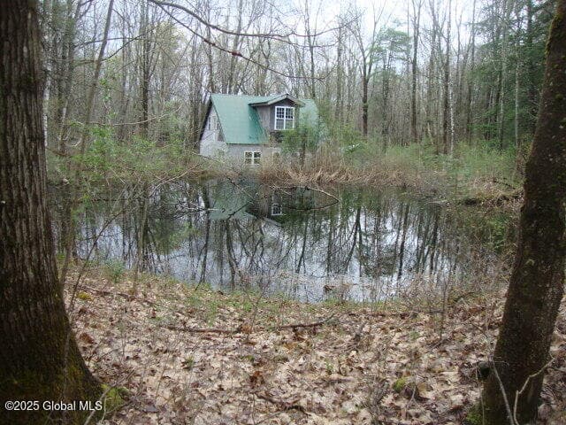 152 Fred Ottaway Road, Middlefield, NY, photo 2