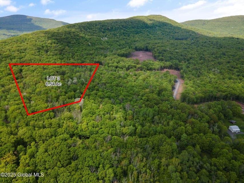 1 Galway Road, Windham, NY, photo 4