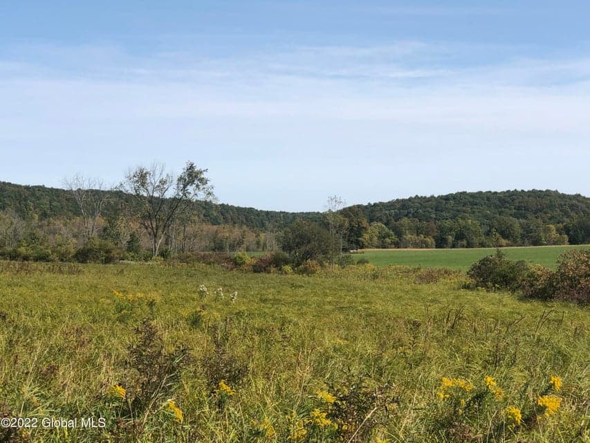 L1 Rathbunville Lane, Fort Ann, NY, photo 4
