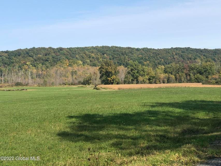 L1 Rathbunville Lane, Fort Ann, NY, photo 5