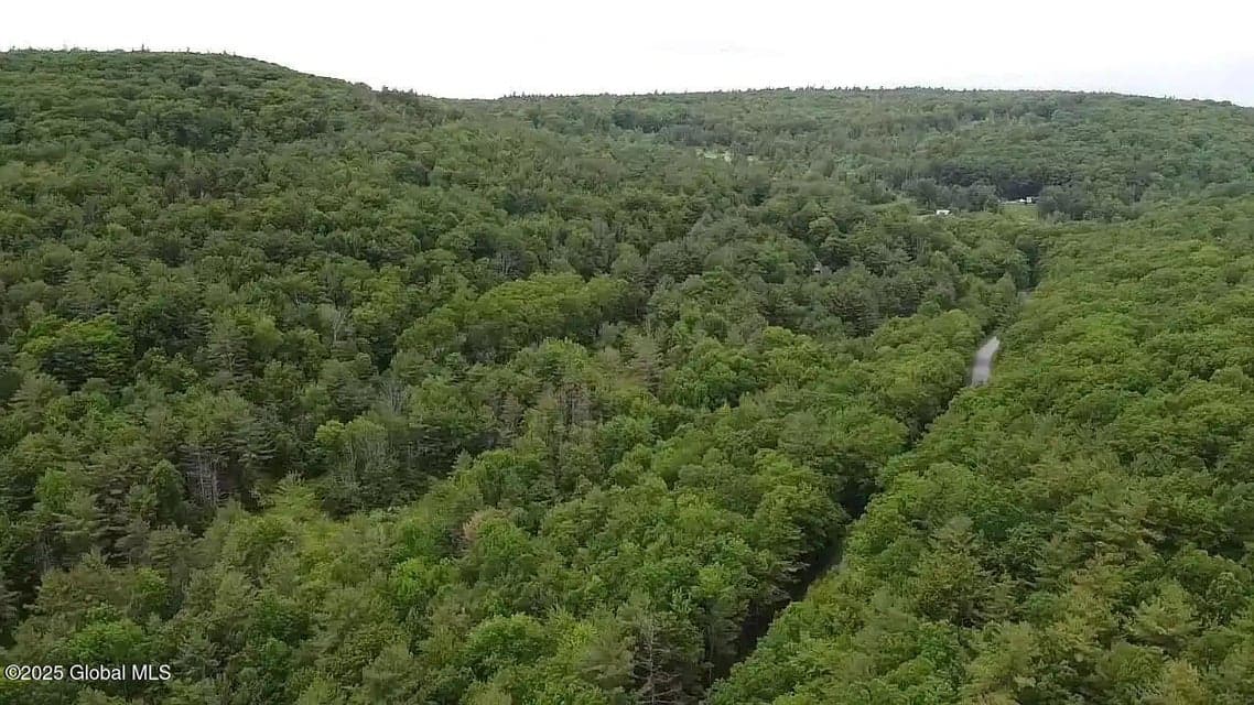 522 Quarry Road, Blenheim, NY, photo 1