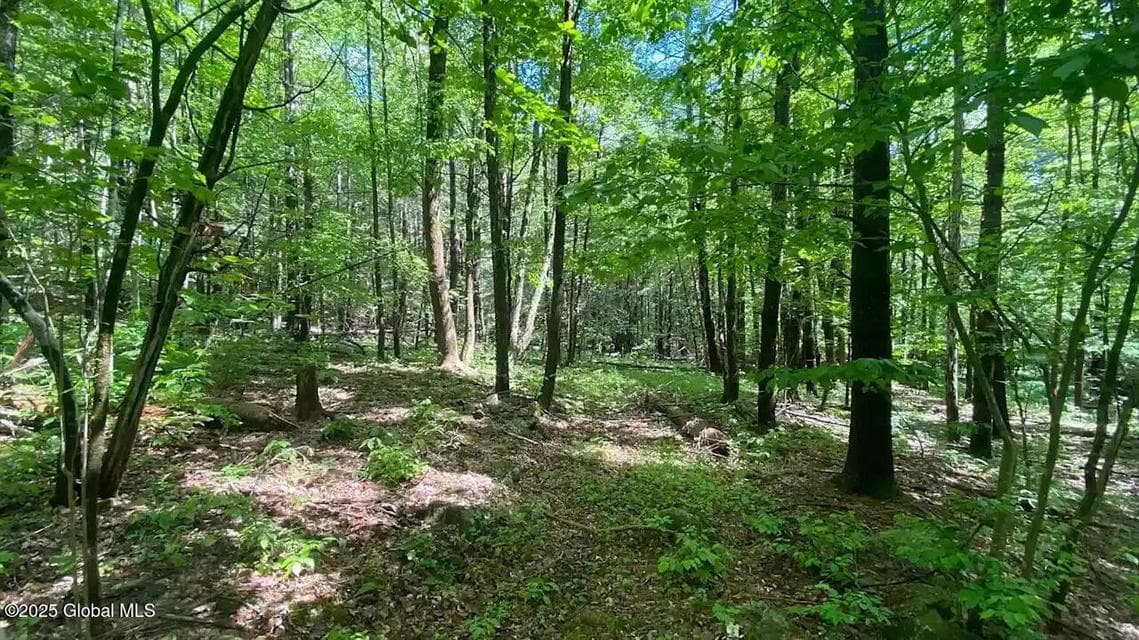 522 Quarry Road, Blenheim, NY, photo 2