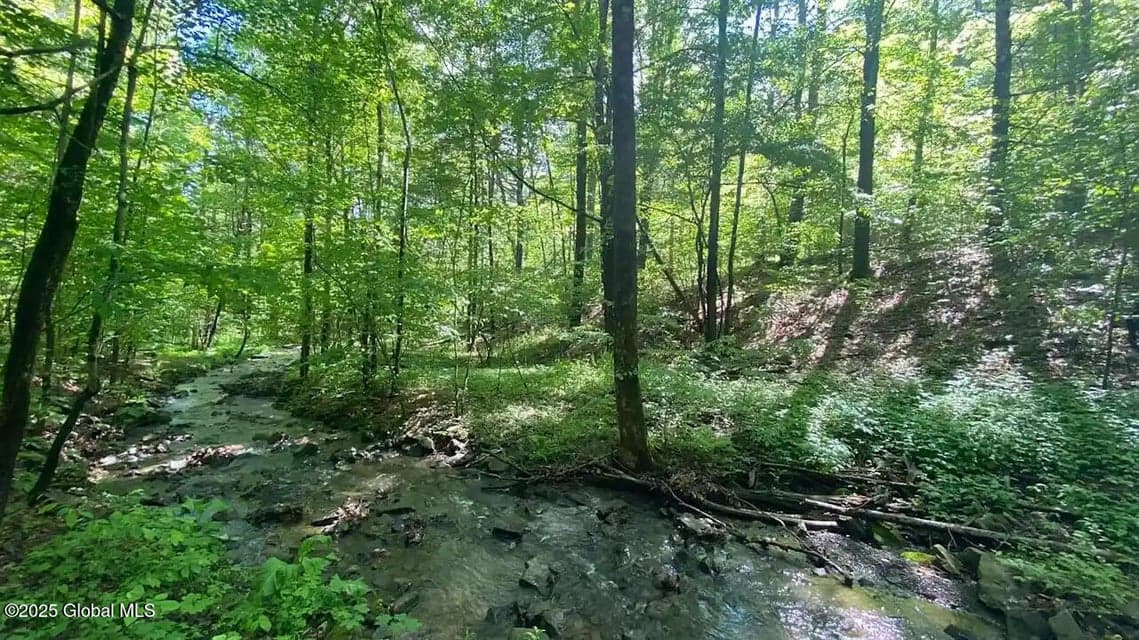 522 Quarry Road, Blenheim, NY, photo 4