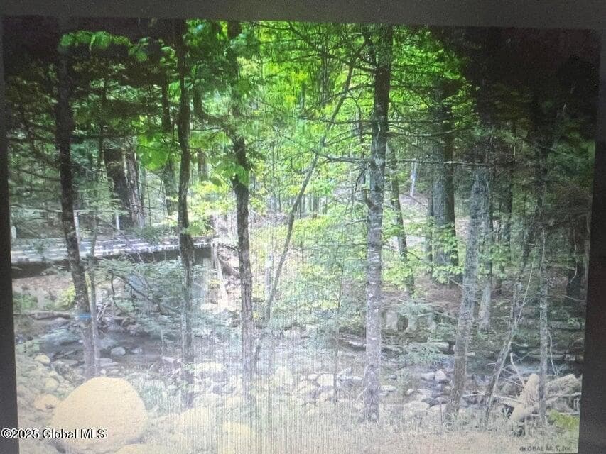 L1.2 Trout Brook Road, photo 3