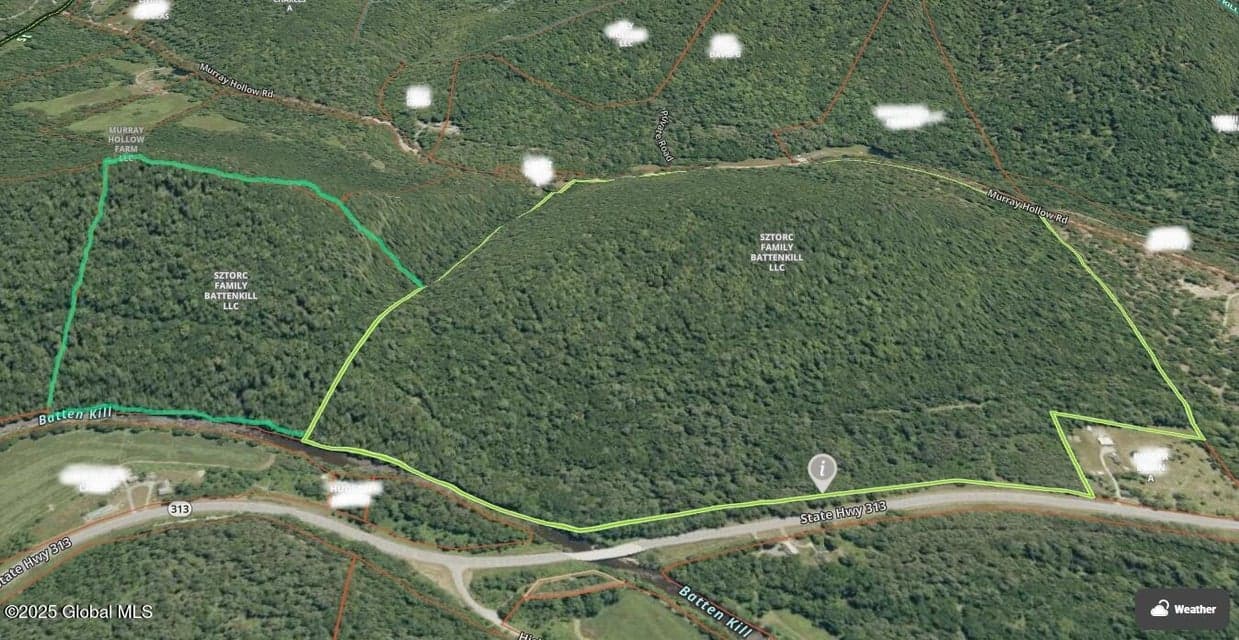 L2&4 State Route 313, Jackson, NY 12873, photo 2