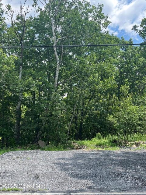 L41 N Mansion Road, photo 1