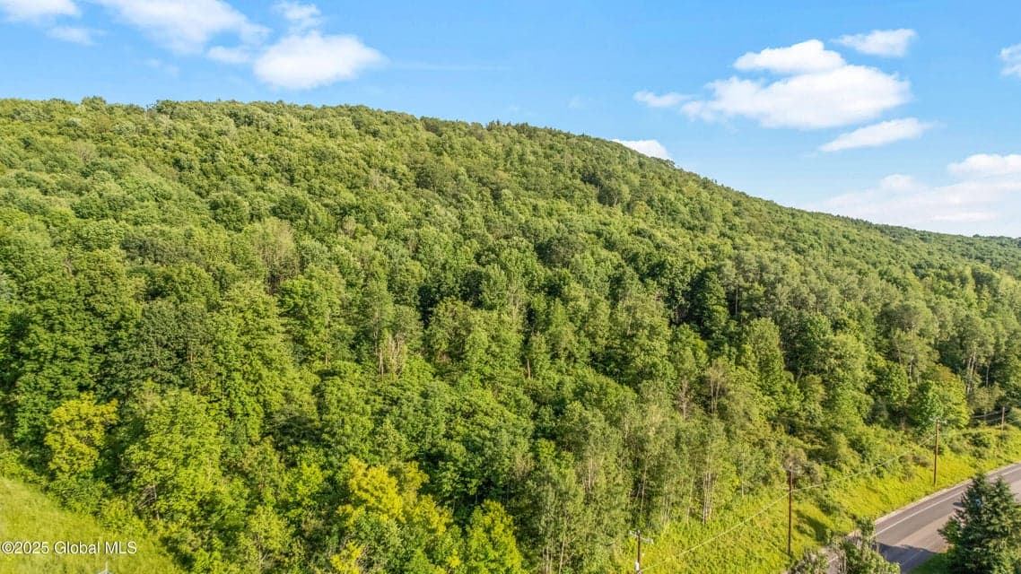 L31.1 County Rd 32, Norwich, NY, photo 2