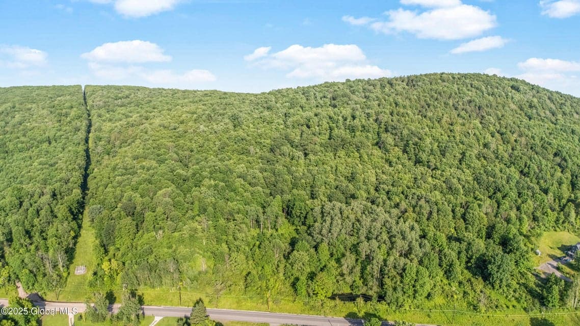 L31.1 County Rd 32, Norwich, NY, photo 4