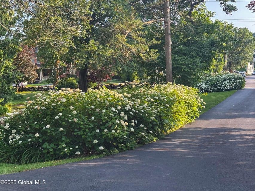 321 Guy Park Avenue, Amsterdam, NY, photo 2