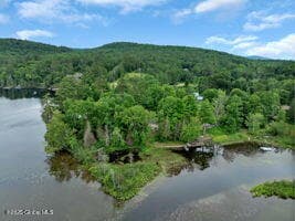 39 Knox Road, Schroon Lake, NY, photo 3