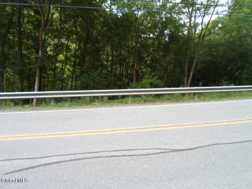 0 Crawford Road, Rotterdam, NY, photo 4