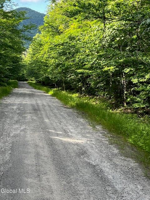 L81.112 Ruby Mountain View Drive, Johnsburg, NY, photo 1