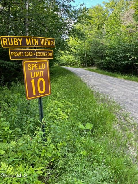 L81.112 Ruby Mountain View Drive, Johnsburg, NY, photo 2