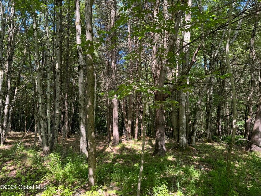 564 Valley Woods Road, Bolton, NY, photo 3
