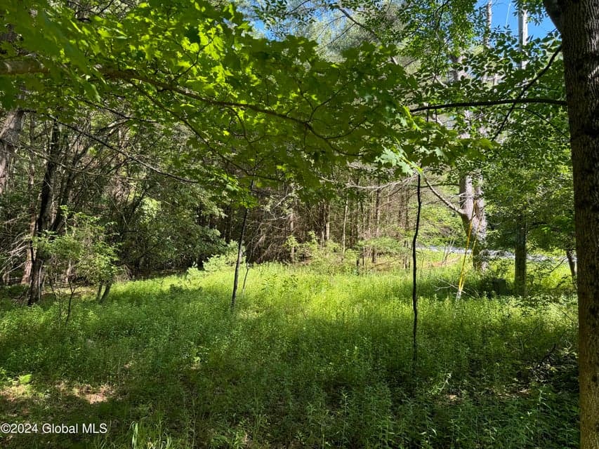 564 Valley Woods Road, Bolton, NY, photo 4
