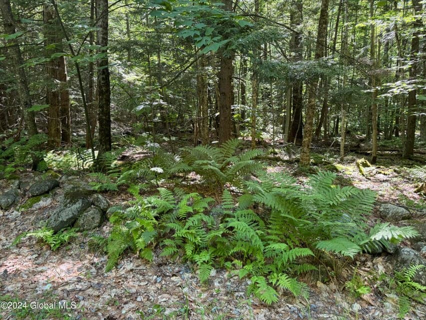 564 Valley Woods Road, Bolton, NY, photo 5