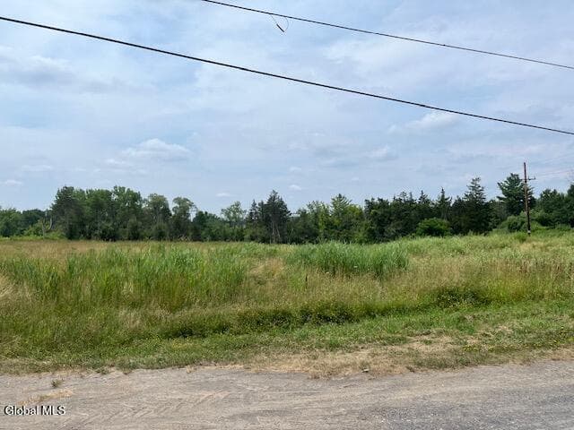 31 Pulcher, photo 2