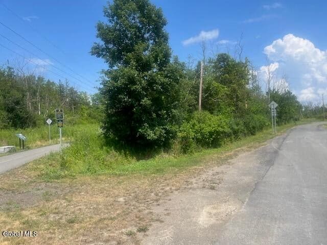 25 Pulcher, photo 4
