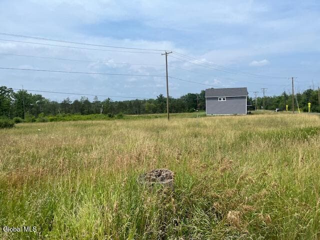 35 Pulcher, photo 3