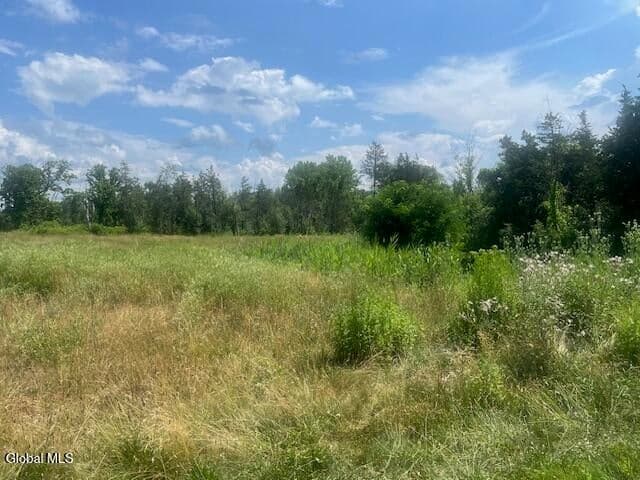 35 Pulcher, photo 4